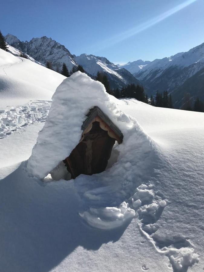 Alpindesign カウナータール 部屋 写真